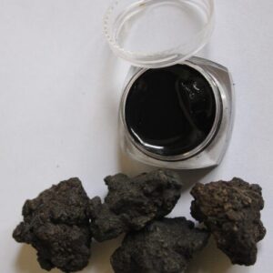 Home gilgit salajeet